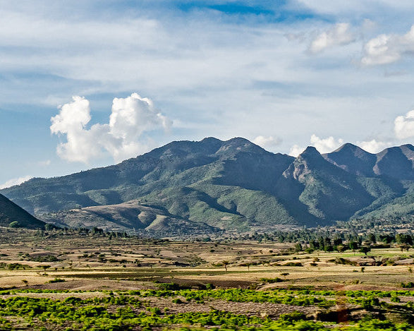 Ethiopia Oromia Sidamo