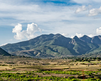 Ethiopia Oromia Sidamo
